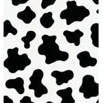 Little_Cow