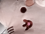 If you like cats join the group