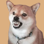 Polygon Games*