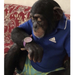 XtraBright Squad