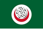 Central Asian Islamic Organization