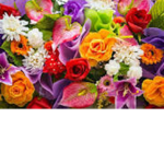 Flower Villages