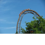 Theme Park Fanatic's