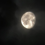 ~moonie~