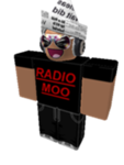 The Radio's