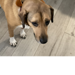 Hi guys are you going back to the store now or are