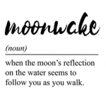 -Moon Wake-