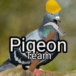 Pigeon Team'