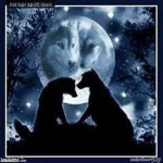 super sigma wolf pack