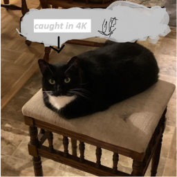 Max Well