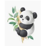 *~ Panda Squad ~*