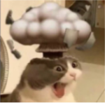 o(≧o≦)o