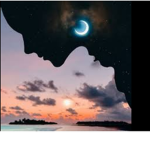 The sunshine moonlights