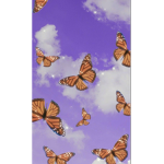 Aesthetically pleasing butterflies