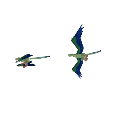 Rahonavis ostromi (For ChickenEngineer)