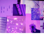 Little purples