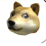 Doge Boiz!!!