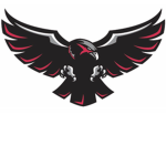 The black hawks!