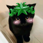 kittiheart