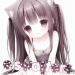 e swatters