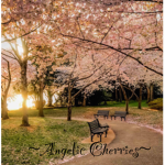 . Angelic Cherries Clothing .