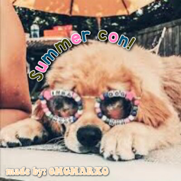 Summer Con! ☻