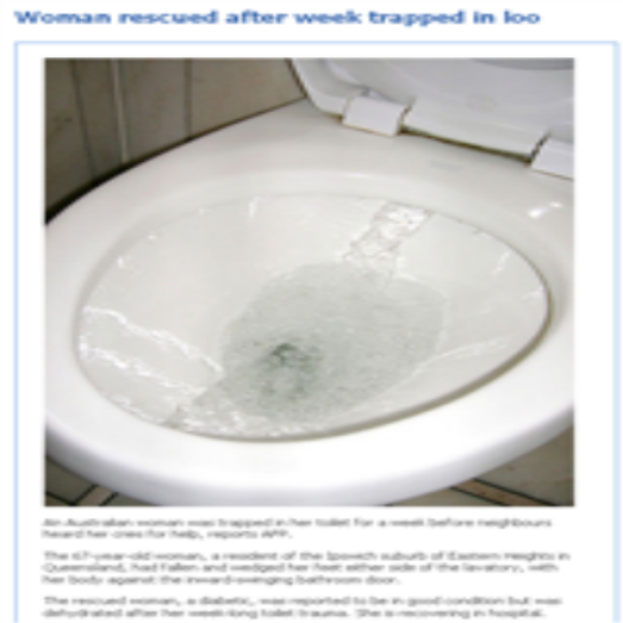 funny news lol 4 Roblox decal