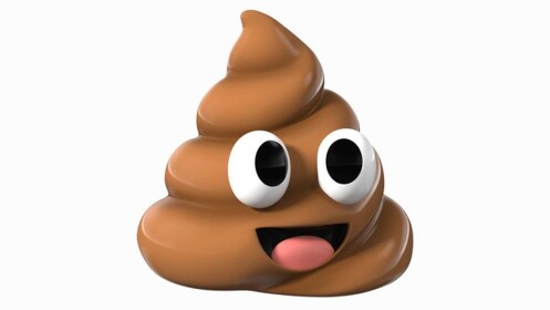 Poopy Land