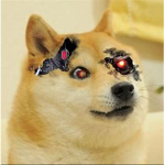 Doge army airforce.
