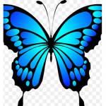 Blue butterflies Crew