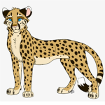 The_cheetah