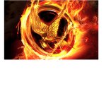 Hunger Games Fans {.HGF.}