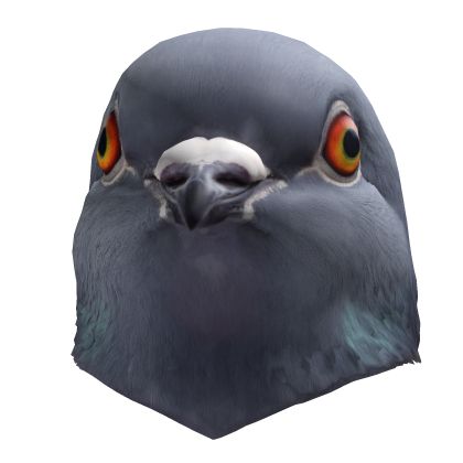 Pigeon Head