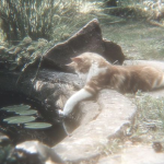 Puppyxkitty