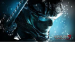 The Secret Ninja Group