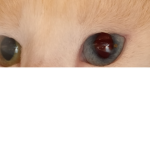 THINGS THAT ARE WEIRD
