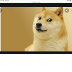 Doge epic social club