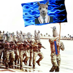 Llama’s v alpacas