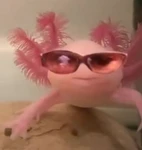 『Axolotl Community』 Group Thumbnail