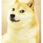 Doggo_Player