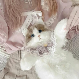  ⋆ ˚｡⋆୨୧˚ icon