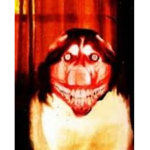 doggo wrrryyyyyyy