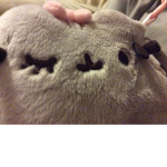 Pusheen group!!