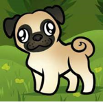{*Pug Fans!!*}