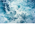 The 7 Seas