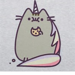 Pusheen Party!!!!!!