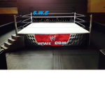 S.W.E SmackDown Wrestling