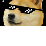 Doge!!!!!