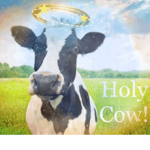 MOO CASTLE