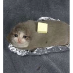 adorb sweets
